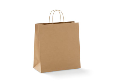 Paper Bag Kraft Twist Handle 350 x 260 x 110mm 250/Pkt