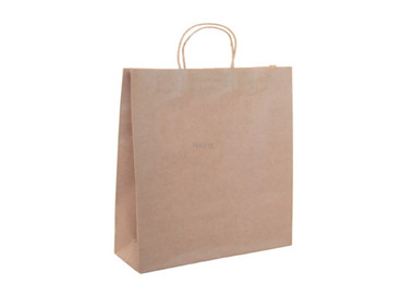 Paper Bag Kraft Twist Handle 420 x 320 x 110mm 250/Pkt